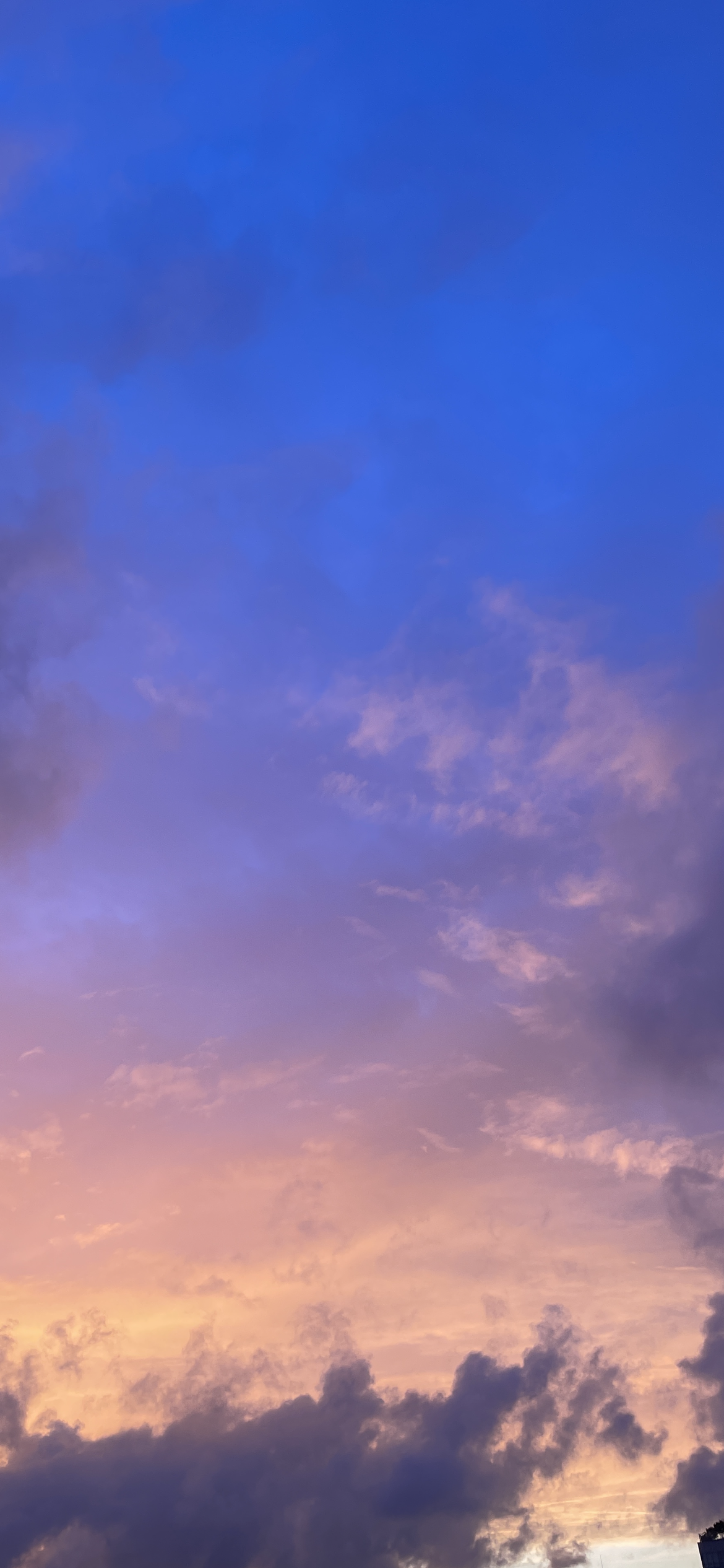 수강후기 업로드 이미지