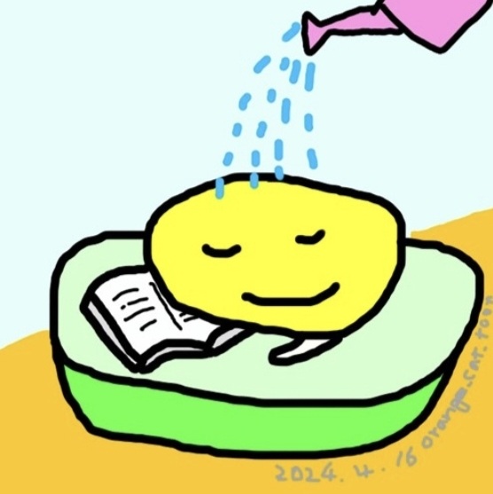 수강후기 업로드 이미지